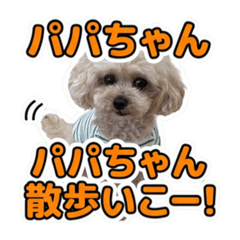 HIRO_20260610101916
