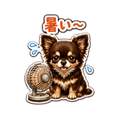 koju_20260610102039