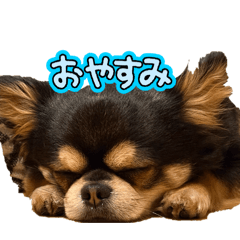 Ren_20260610101928