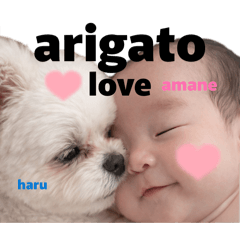 kanaminonono_20260610102340