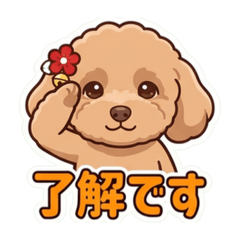 sasaki_20260610102656
