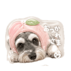 michan_20260610110144
