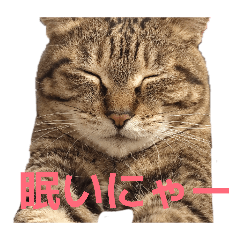 GEKIDOBBA_20260610110540