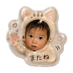 aoi_20260610111656