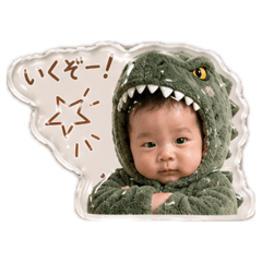 Saku Dino Collection