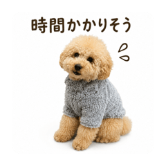 dawadawa_20260610120153