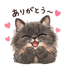 ayachan_20260610114715