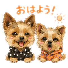 miyu_20260610114950