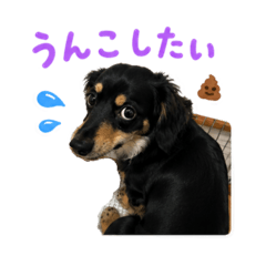 chill_20260610120609