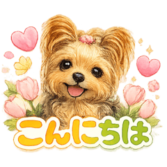 ayachan_20260610114333