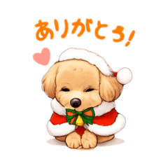 shota_2026061012083