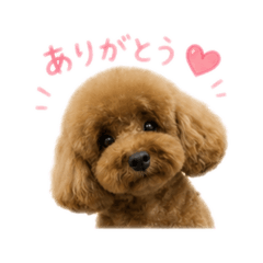 HANA_20260610122327