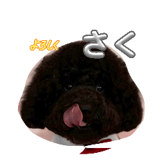YUTA_20260610123645