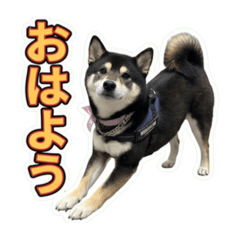 FUKU_20260610125302