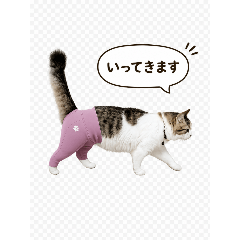 riho_20260610132847