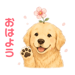 Flower on thedog's head