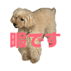 A_20260610134127