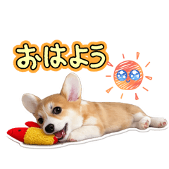 yokko_20260610135056