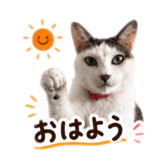 Luna_stamp1