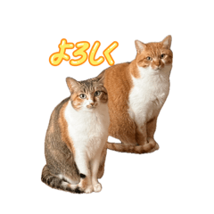 mamamama_20260610144534