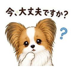 ​一生實用日文！禮貌日常蝴蝶犬