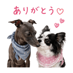 Rie_20260610144107