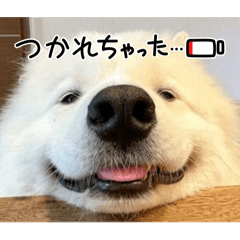 michan_20260610151630