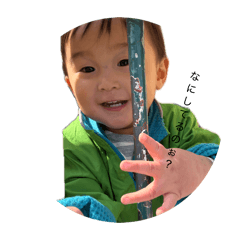 SUI_20260610152028