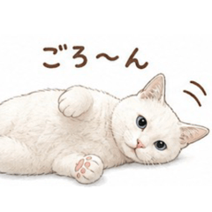 Masaharu_0428