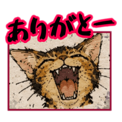HIROGE_20260610162044