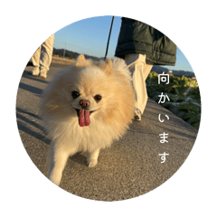 misaki_20260610162644