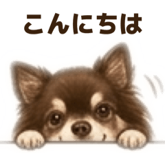 chocon_20260608233948