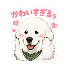 Nico_20260609010241