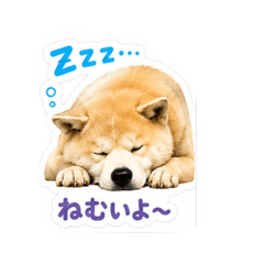 kie_20260609121353