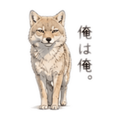 I am me-the Tibetan sand fox