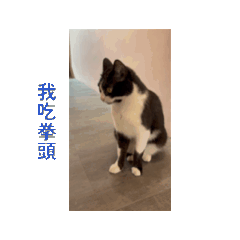 Lily C._20260619122925