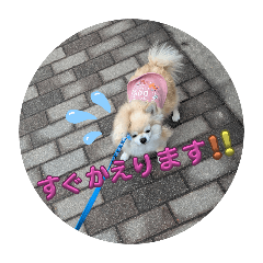 sticker_20260609135938