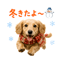 わんダフルはっぴー【冬休み編】