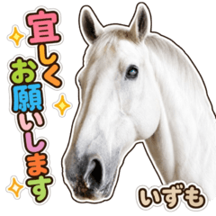 Senogawa Riding Club Supporters