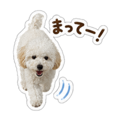 mayu_20260609162541
