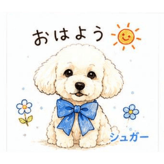 Cookisugar_20260609162250