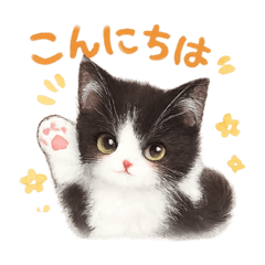 Hinya_20260609174333