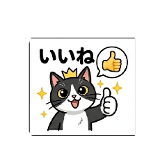 einyan_202606