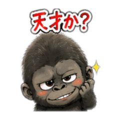ko_ya_20260609181233