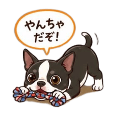SUZU_20260609183138