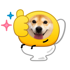 tomochan_20260609183919