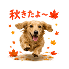 Happy-diary_20260609173930