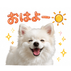 MaichAn._20260609181622