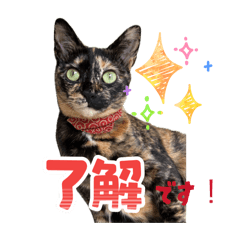 naru_20260609183057