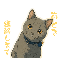 yumi_20260607164953